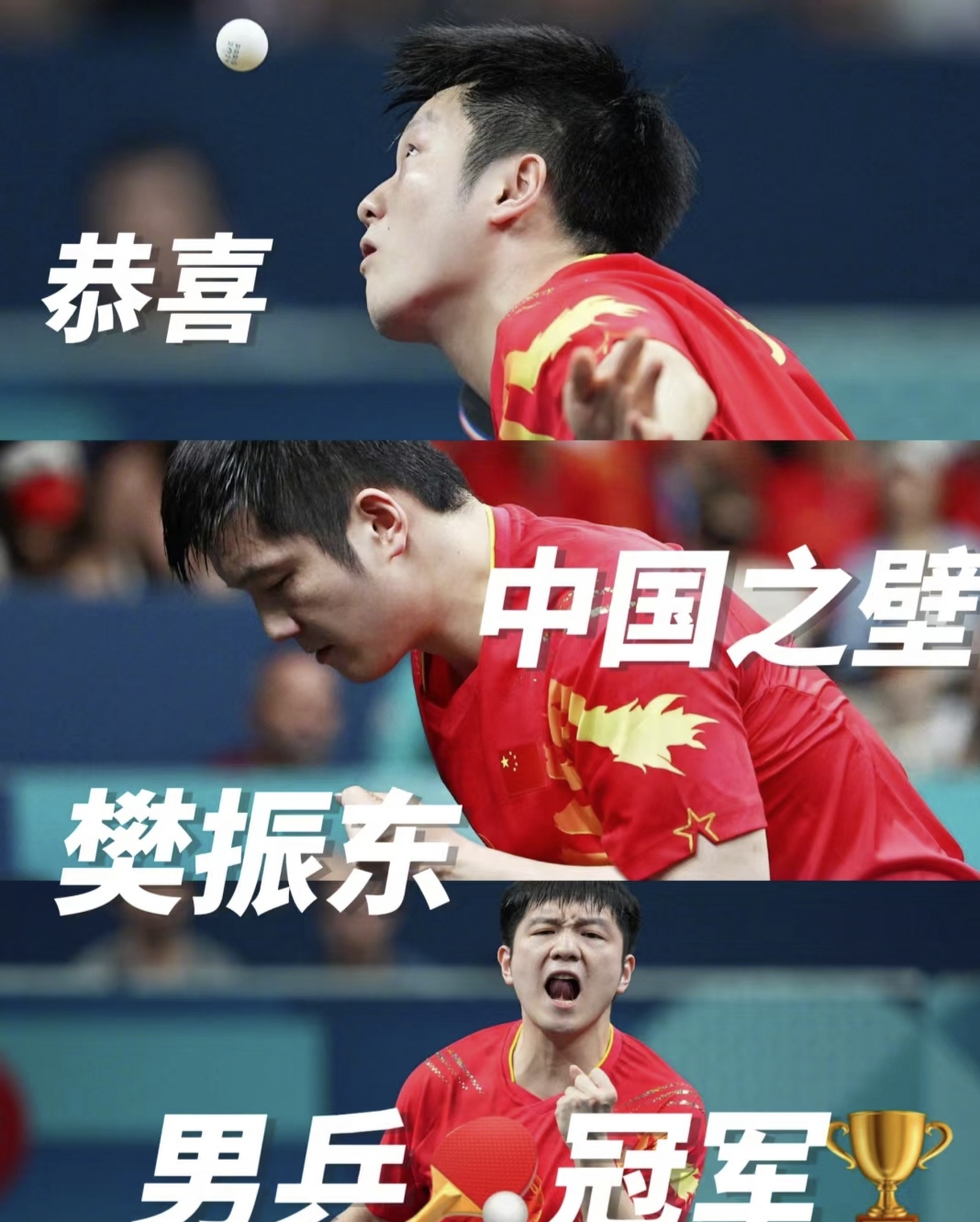 德国队逆转中国队，樊振东带队取胜