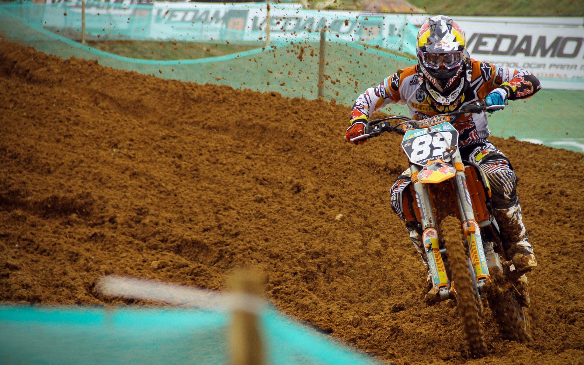 克莱高光表现，森林狼斩落深圳队，当NBA季前赛成为一面镜子